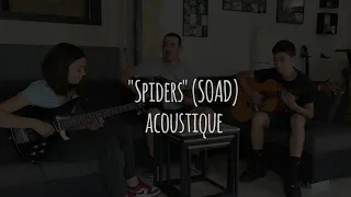 SPIDERS (SOAD) - Acoustic cover - LTC