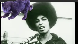 FREE ANGELA DAVIS! /СВОБОДУ АНЖЕЛЕ ДЕВИС!