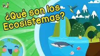 ¿Qué son Los Ecosistemas? (Videos Educativos para Niños)