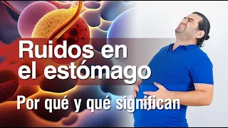 👨🏻‍⚕️ Ruidos en el Estómago ¿por qué se producen estos ruidos y qué significan? 💥