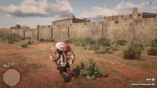 RDR2: Clearing Fort Mercer as Arthur, Carcass Shield Method