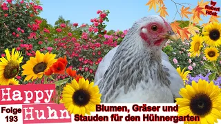 E193 Die besten Blumen, Gräser und Stauden für den Hühnergarten bei HAPPY HUHN, mit Hühnern gärtnern
