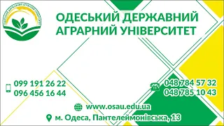 День відкритих дверей ОДАУ. Інженерно-економічний факультет