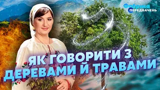 🔥ЗАГОВОР для ВОДИ ТА ВОГНЮ! СЕКРЕТ МАГІЇ мольфарів. Як УПРАВЛЯТИ ГРОЗОЮ / СТЕЦЕНКО