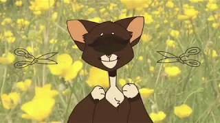 Cut My Hair- Cricketsong Animation Meme: