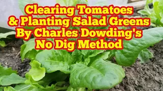 Overwintering Tomatoes & Planting Salad Greens The Charles Dowding's No Dig Method | The Movie