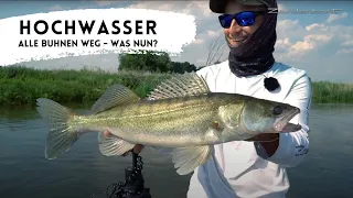 ZANDER ANGELN bei Hochwasser - Alle Buhnen überflutet. Was nun?