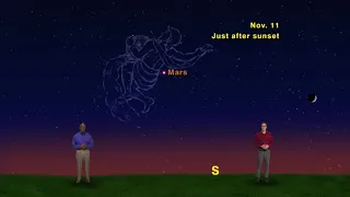 Star Gazers Nov 5 - Nov 11th  5 Min