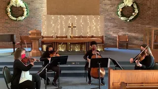 Concerning Hobbits - Vitamin String Quartet version - The Lord of The Rings - LoTR