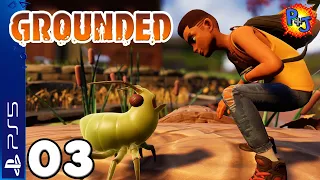 Let's Play Grounded PS5 Co-op Multiplayer | Gameplay Episode 3: So Many Spiders (P+J)