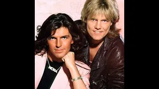 MODERN TALKING - You're My Heart , You're My Soul - Maxi 45T - 1985