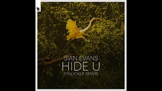 Sian Evans - Hide U (Tinlicker Extended Remix) [Vinylrip HQ]