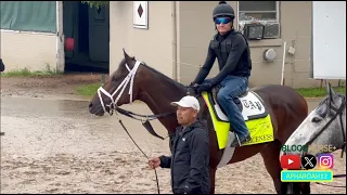 The Final Day of 2024 Kentucky Derby 150 Training 5/3/24: Kentucky Oaks Day