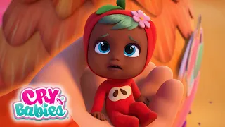 Full TUTTI FRUTTI Season 3 | Full Episodes MAGIC TEARS | Kitoons Cartoons for Kids