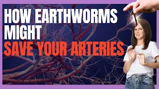 Lumbrokinase: From Earthworm To Blood Clot Solutions.