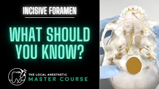 Incisive Foramen | Local-Anesthetic.com