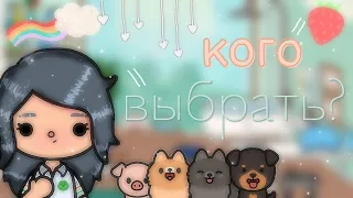 •🐊 какого животного лучше завести в тока бока?/toca boca 🍰•