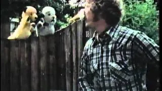 The Sooty Show (1978 Opening Theme)