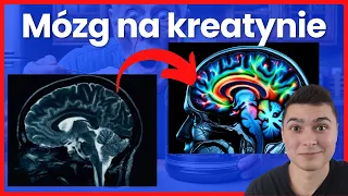 Jak Kreatyna Wpływa na MÓZG i IQ?