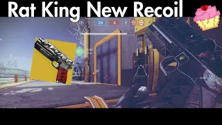 Rat King got a new recoil pattern | Final Shape