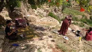 Preparation of fodder for sheep with the cooperation of family members, part one