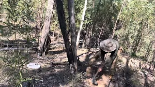 GPX 6000 This old dead tree was holding a secret⛏️🤠✨🤠⛏️✨🤠⛏️✨🤠⛏️✨🤠⛏️