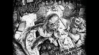 Innards - Back From The Grave, Straight In Your Face (EP STREAM)