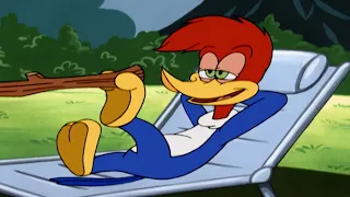 Woody doesn't like camping games | Woody Woodpecker