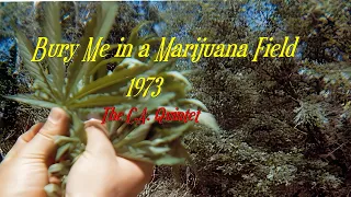 Bury Me in a Marijuana 1973 The C A  Quinet