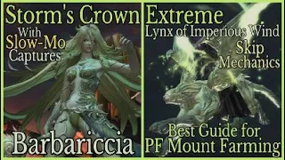 FFXIV: Storms's Crown Extreme (Best PF Mount Farming Guide) Barbariccia