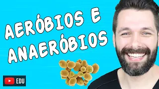 ORGANISMOS AERÓBIOS E ANAERÓBIOS | Biologia com Samuel Cunha