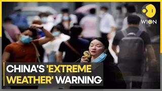 China faces extreme weather and record heatwaves | WION Climate Tracker