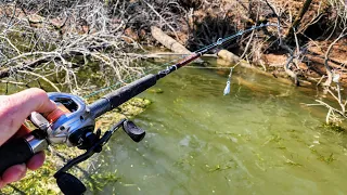 GIANT FISH Live In SUBMERGED BRUSHPILES!! (Biggest of the year)