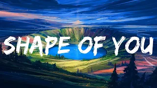 Ed Sheeran -  Shape of You / Seafret, Charlie Puth, Miguel