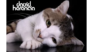 David Herencia - Thinking (Original Mix)