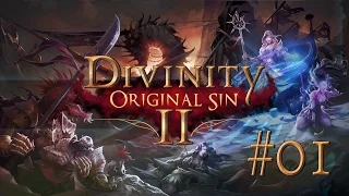 Divinity Original Sin 2 #01 INQUISITOR ELYSIUM - Let's Play