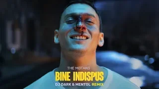 The Motans - Bine Indispus (Dj Dark & Mentol Remix) Lyric Video