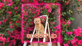 Самый Дорогой Человек [ speed up ] ~ Нервы #музыка #music