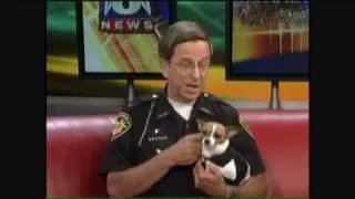 World's Smallest Police Dog