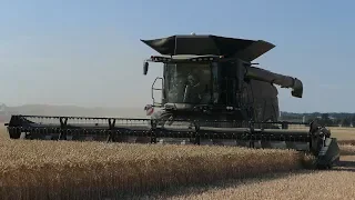 Massey Ferguson IDEAL 9 Harvesting Wheat | Fendt & MF IDEAL Tour | Harvest | Danish Agriculture