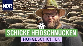 "Meet the sheep" zur Heideblüte | Die Nordreportage: Hofgeschichten (195) | NDR