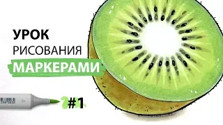 Урок по рисованию маркерами для новичков #1 / Рисуем киви