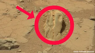 Perseverance rover | Curiosity captured Ancient Fossil on Mars's surface