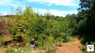 Big Retention Pond Transformation