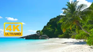 Paradise Beach Scene in 4K:The Perfect White Sand, Blue Water & Waves -2021