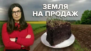 Продаж землі. Все що треба знати про земельну реформу