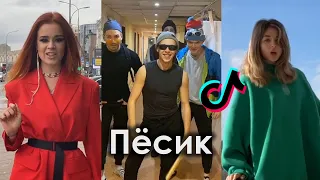 Я НА ПОДСКОКЕ ПЁСИК ОБКАШЛЯЕМ ВОПРОСИК TIK TOK ПОДБОРКА | SQWOZ BAB - ПЕСИК ПОДБОРКА ТИКТОК