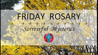 Friday Rosary • Sorrowful Mysteries of the Rosary 💜 April 12, 2024 VIRTUAL ROSARY - MEDITATION