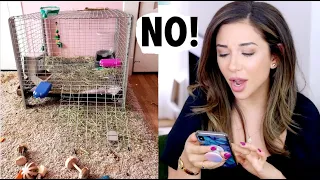 REACTING TO OUR SUBSCRIBERS RABBIT HABITATS! | PT. 2