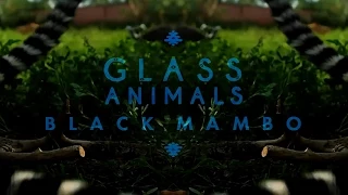 Glass Animals - "Black Mambo" (Live Jungle Slang) | Audio